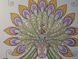 whatsapp image 2026-01-25 at 11.33.15